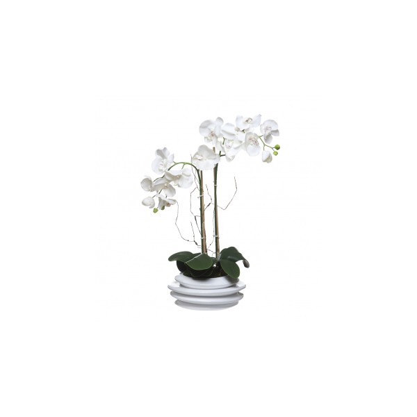 Orquideas con hojas artificiales en maceta cerámica blanca 26x69 cm
