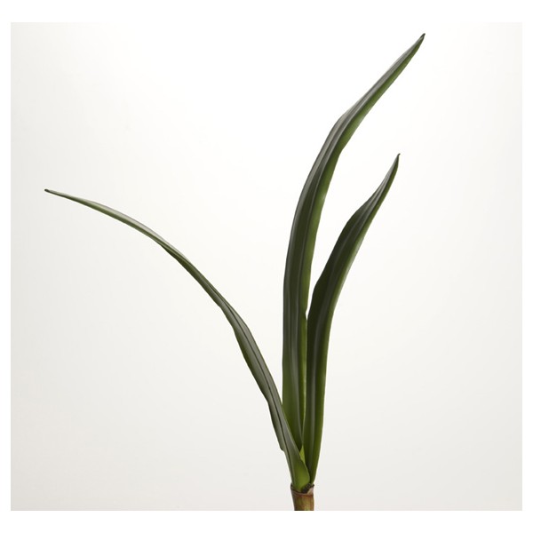 Hoja verde Amarilis Parkeri h61cm 3 ramas