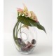 Lirio arum calla Lily verde y rosa 47 cm