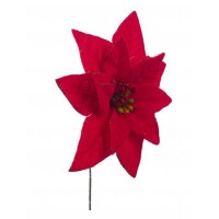 Flor de Pascua Poinsettia roja pequeña Amir 15cm