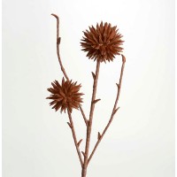 Flor foam marrón tallo con 2 flores pétalos alargados Artisa 80h cm