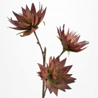 Flor foam tallo con 3 flores pétalos verdes y granate Naturalia 80h cm