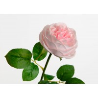 Rosa inglesa flor artificial mini Gala rosa 36h cm