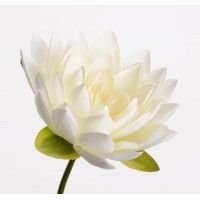 Flor de loto artificial blanca Lotus Nelumbo 74h cm